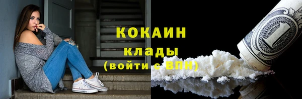 амф Бородино