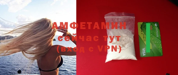 амф Бородино