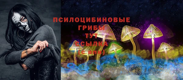 амф Бородино