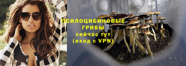 амф Бородино