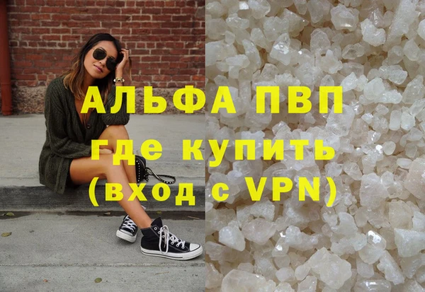 амф Бородино