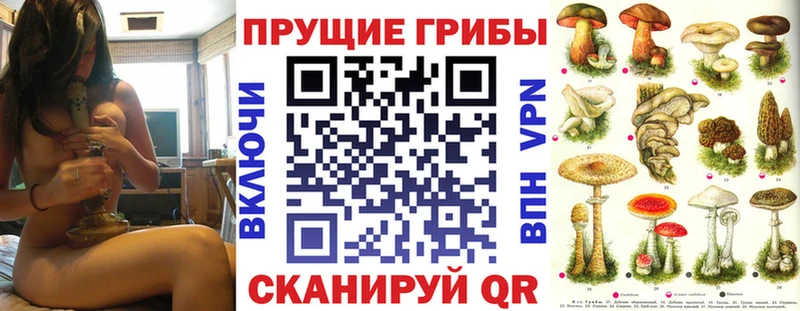 Купить закладки  Облучье  Галлюциногенные грибы Cubensis 